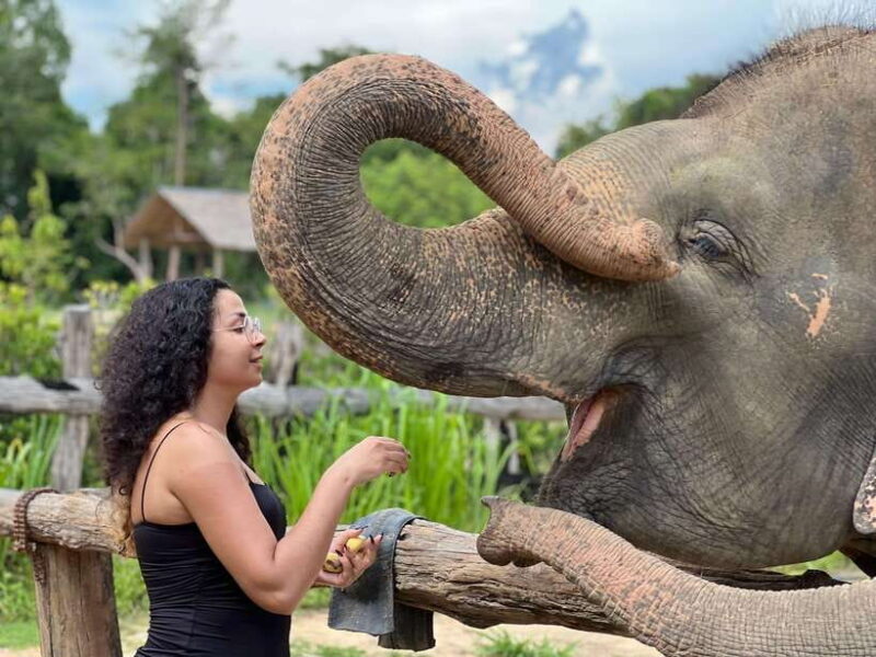 Elephant Sanctuary Cambodia, Pickup and drop off included - Good To Know