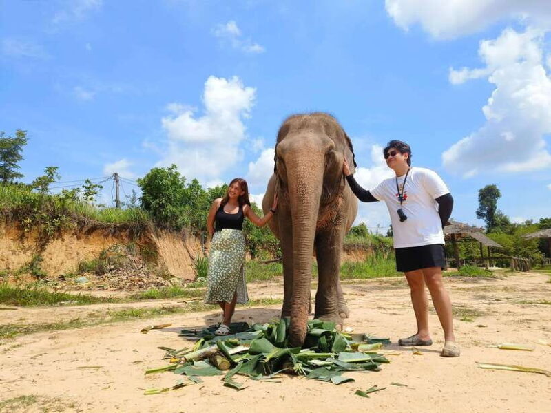 Elephant Sanctuary Cambodia, Pickup and drop off included - What’s Included and How It Adds Value