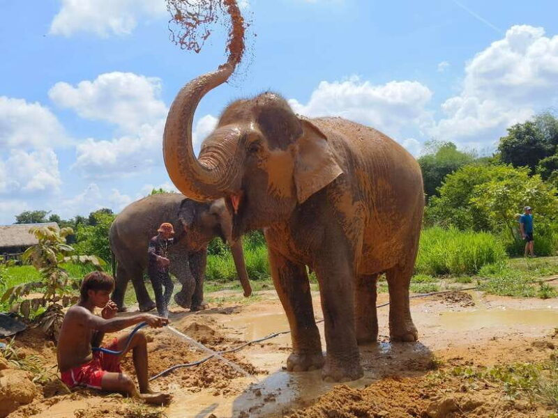 Elephant Sanctuary Cambodia, Pickup and drop off included - FAQ