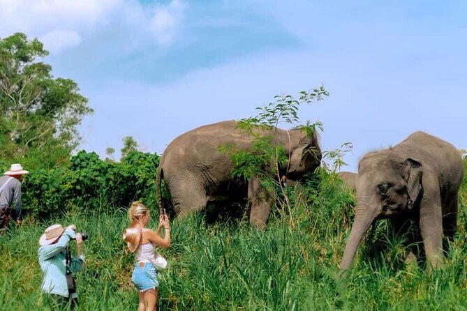 Elephant Sanctuary Small Group Tour in Phuket - Why This Tour Offers Value