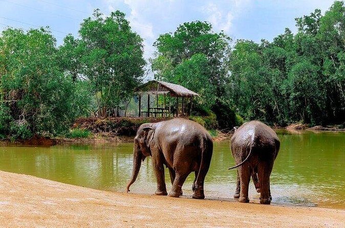 Elephant Sanctuary Small Group Tour in Phuket - Who Is This Tour Best For?