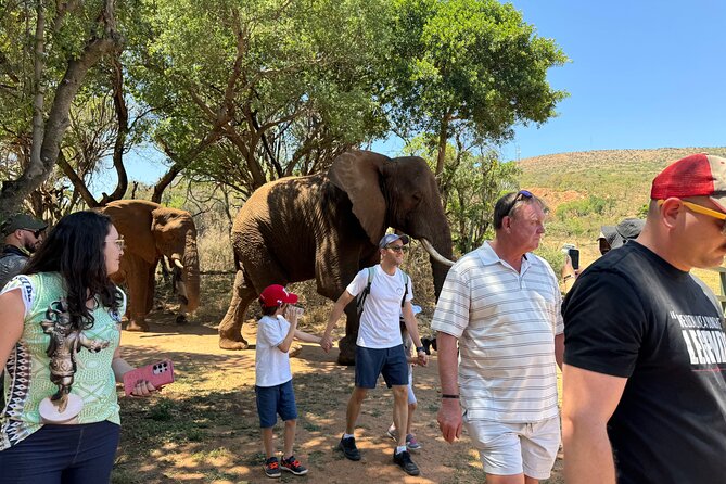 Elephant Sanctuary Tour From Johannesburg - Tour Details