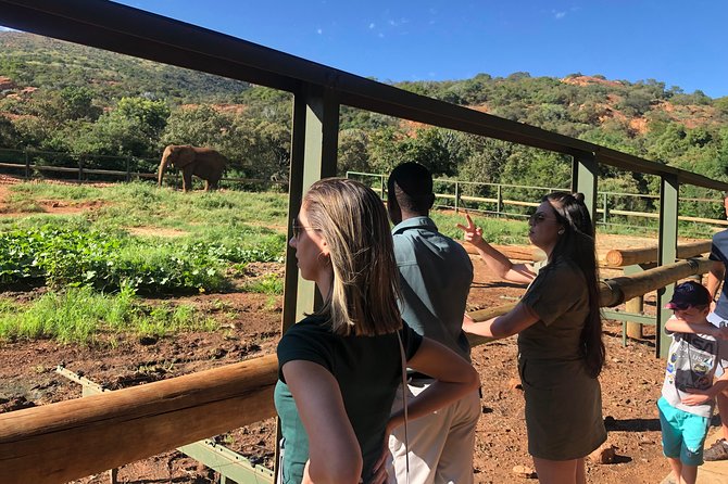 Elephant Sanctuary Tour From Johannesburg - Cancellation Policy