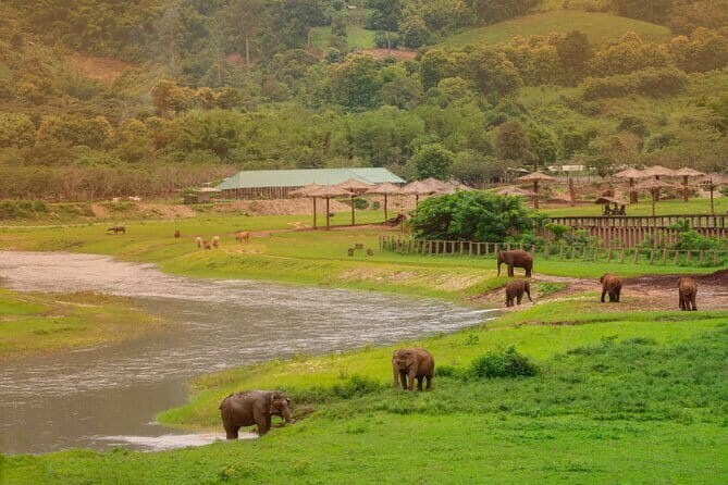 Elephant Sanctuary + Waterfall + Bamboo Rafting One Day Trip - Exploring the Itinerary in Detail