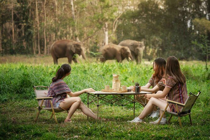 Elephant Sanctuary with Thai Cooking Experience in Chiang Mai - Good To Know