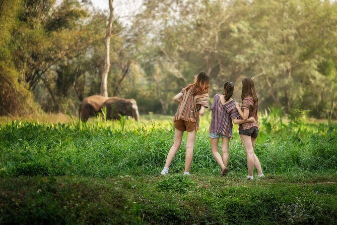Elephant Sanctuary with Thai Cooking Experience in Chiang Mai - What Makes This Tour Stand Out?