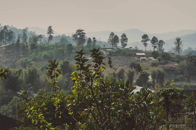 Elephant Sightings , Bamboo Rafting Through The Jungle, Swimming In a Waterfall - Start and End Time