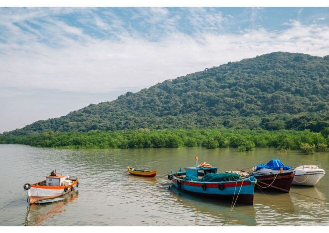 Elephanta Caves Excursion (Guided Half Day Sightseeing Tour) - Inclusions