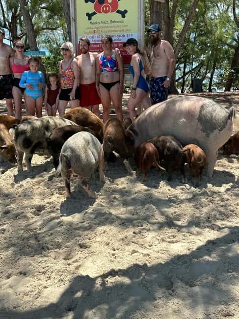 Eleuthera Adventure: Swings, Pigs, and Reefs - Exploring the Itinerary: What You Can Expect