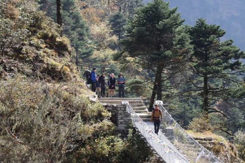 Elevate Your Spirit: A Day Hike through Shivapuri's Splendor - The Day in Detail  