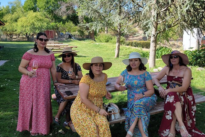 Elevated Social Wine Tours of Sedonas Vineyards - Experience the Ultimate Wine Pairing With Gourmet Cuisine