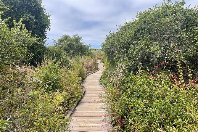 Elfin Forest Nature Tour with Local Sweet and Savory Tasting - Good To Know