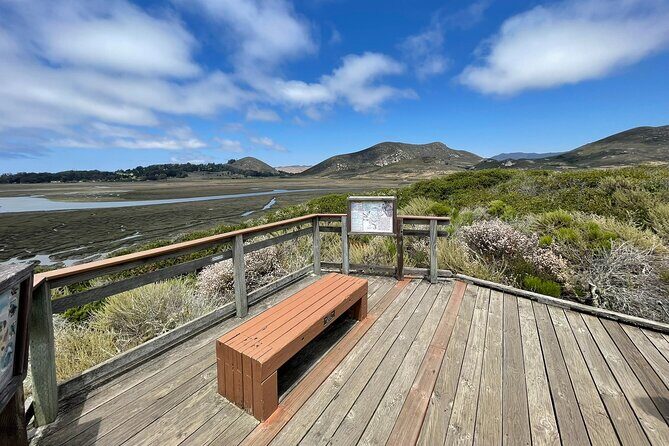Elfin Forest Nature Tour with Local Sweet and Savory Tasting - Final Thoughts