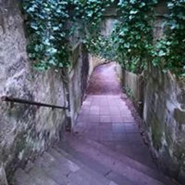 Elgin: The Royal West End Walking Tour - Who This Tour Suits Best