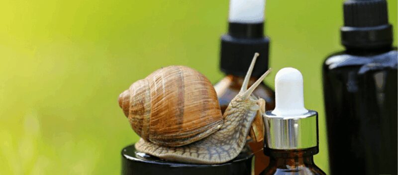 Elice (IT): "The house of snails" and beauty product - Tasting and Testing: A Sensory Experience