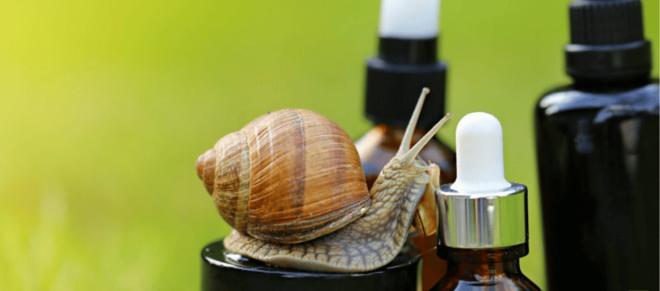 Elice (It): the House of Snails and Beauty Products - Natural Immersive Experience