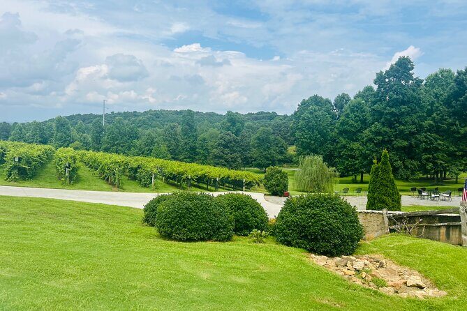 Elijay Three Vineyards Private Wine Tasting Tour from Atlanta - What’s Included and What’s Not