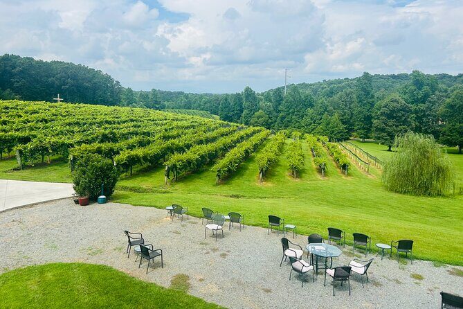 Elijay Three Vineyards Private Wine Tasting Tour from Atlanta - Frequently Asked Questions