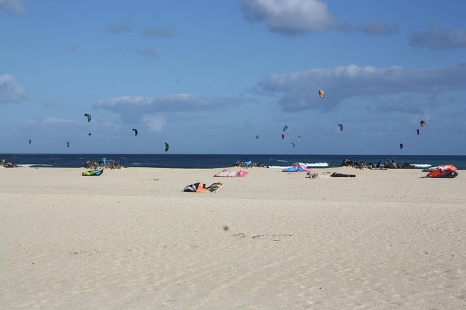 Elisabeths Tailor Made Tours and Services in Amsterdam and the Netherlands. - Knowledgeable and Friendly Guides