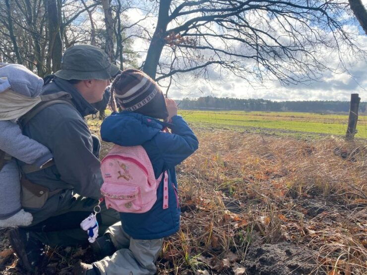 Elk Expedition in Brandenburg -Following "Bert"'S Traces - Experience Highlights