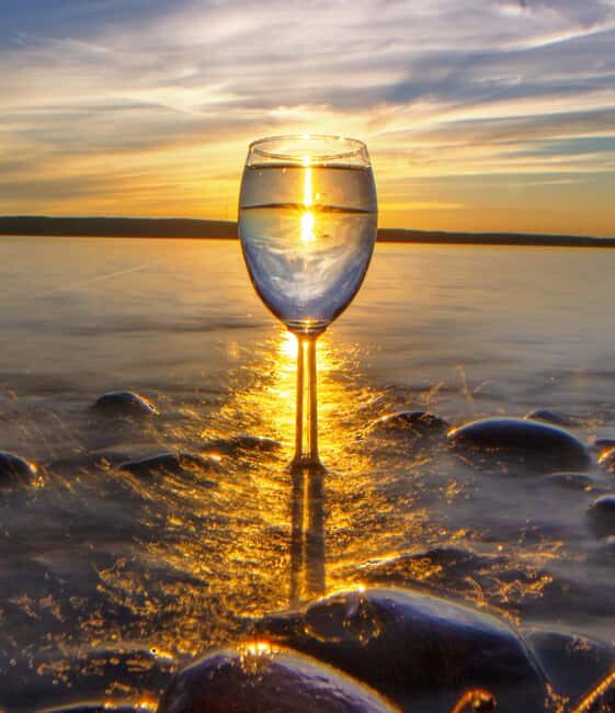 Elk Rapids: Torch Lake Area Movie Star Wine Tour (No Bus) - What To Expect at Each Winery