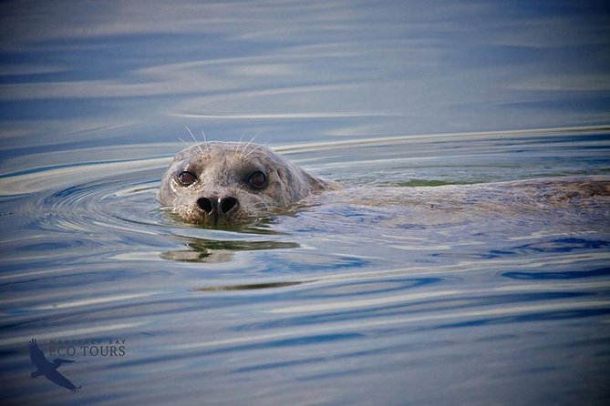 Elkhorn Slough Wildlife Tour - Meeting and Pickup Details