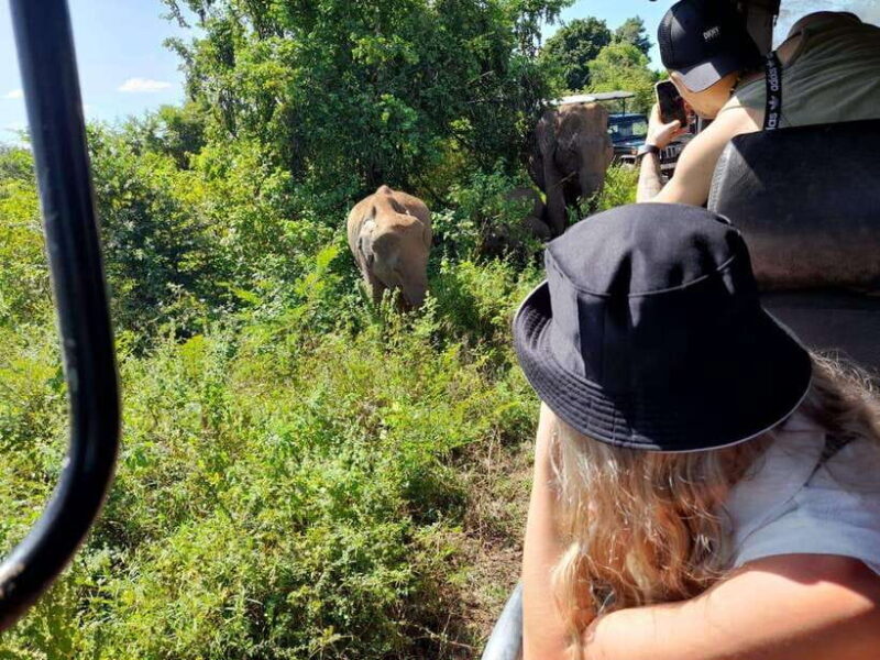 Ella: 1 Day tour to Badulla / Haputale / Mahiyanganaya - The Experience of Guides and Additional Insights