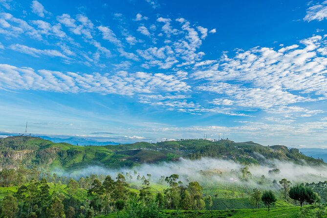 Ella 2-Night Private Tour  - Nuwara Eliya - Questions and Inquiries