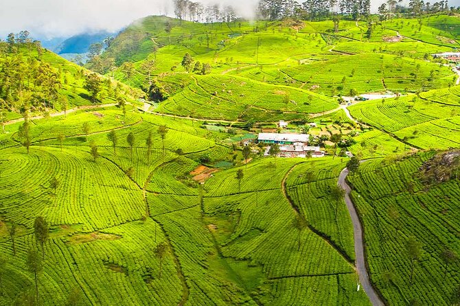Ella 2-Night Private Tour  - Nuwara Eliya - Directions and Itinerary