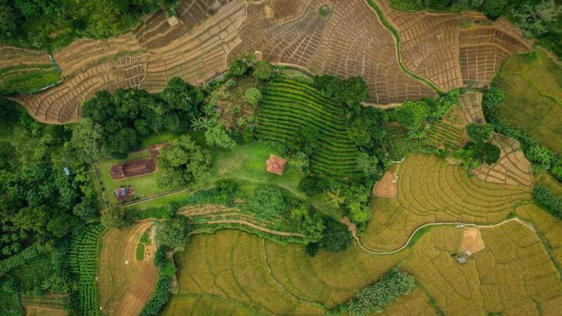 Ella: 3-Day Tour with Village Experience and Meals - The Sum Up: Why Choose This Tour?