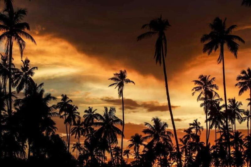 Ella: Adventure day trip to explore Ella by tuk tuk - Good To Know