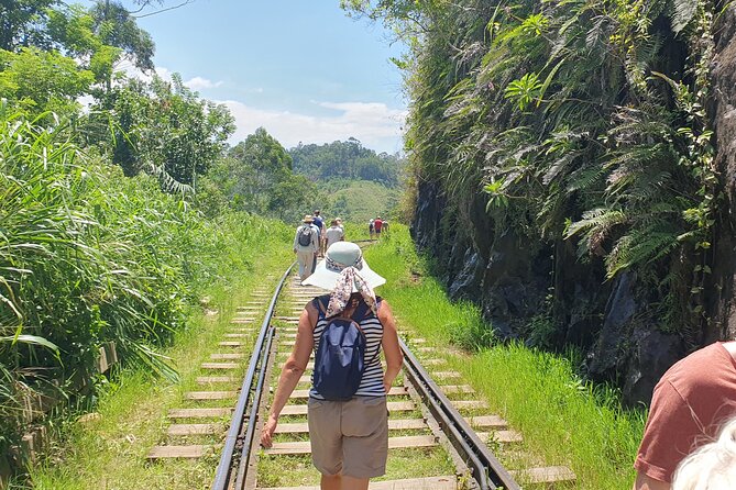 Ella and Yala National Park Tour From Colombo - Meal Inclusions and Dietary Options