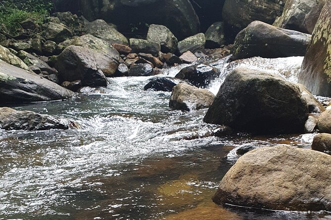 Ella and Yala National Park Tour From Colombo - Booking and Cancellation Information