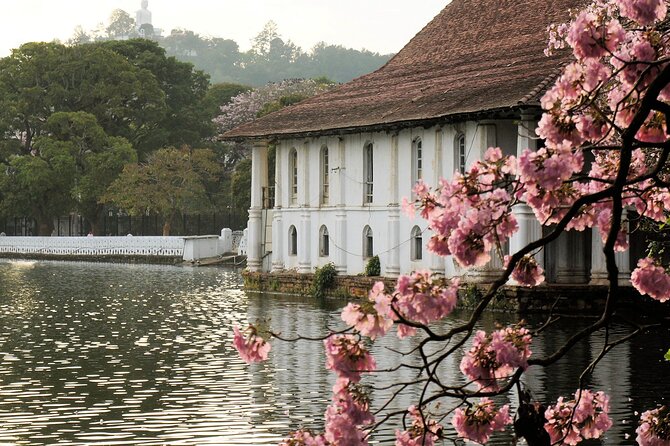 Ella and Yala National Park Tour From Colombo - Customer Reviews and Testimonials