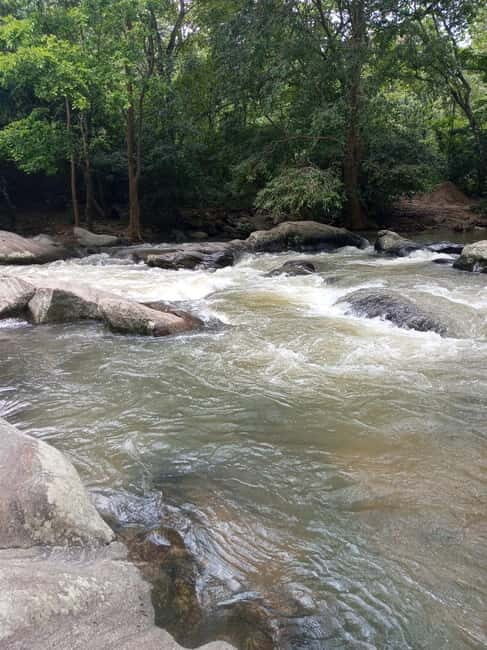 Ella: Authentic village tour with Sri Lankan lifestyle & way - Good To Know