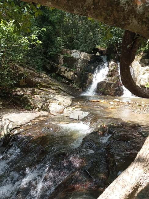 Ella: Authentic village tour with Sri Lankan lifestyle & way - Why This Tour Offers Good Value