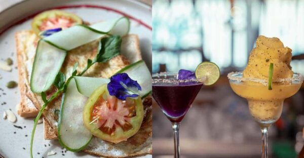 ELLA Chill Cafe Three Course Meal + 1 FREE BEER OR COCKTAIL! - Additional Options Available
