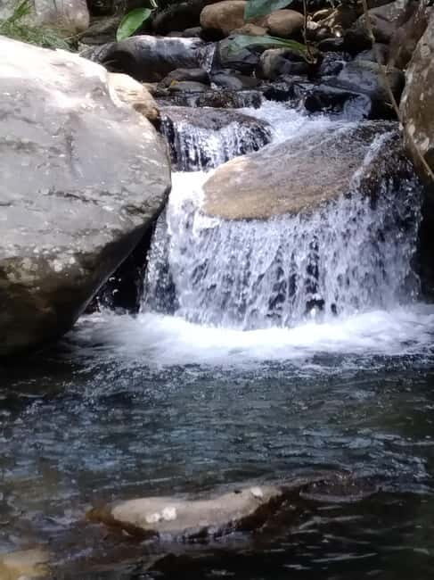 Ella: Cinnamon, Spice Garden & Waterfall tour - Good To Know