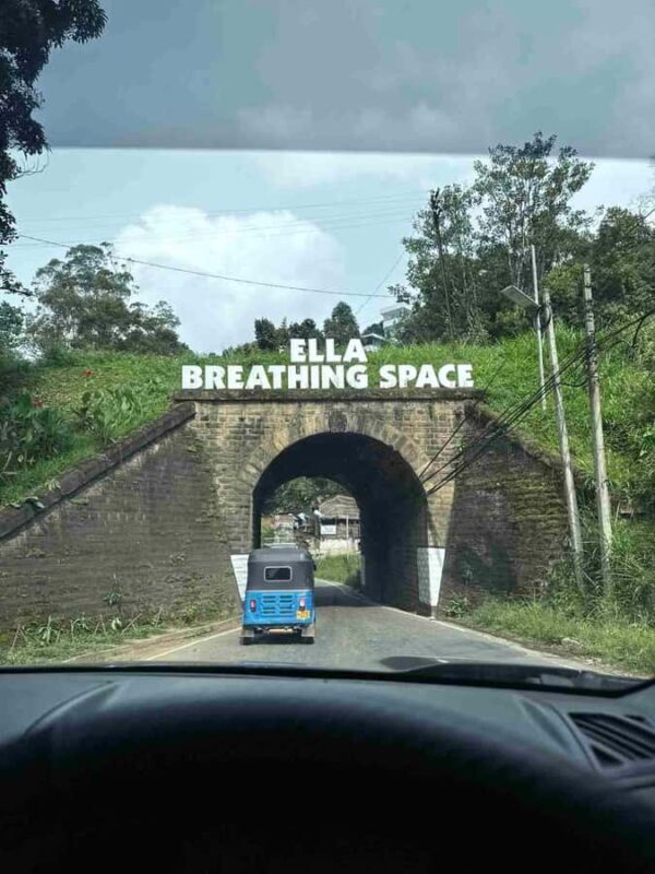 Ella: Curated Day Tour with Scenic Train Journey from Kandy - The Scenic Train Journey: A Highpoint of the Day