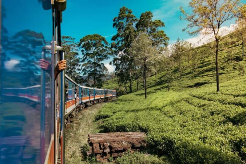 Ella: Curated Day Tour with Scenic Train Journey from Kandy - Leisure Time and Lunch in Ella