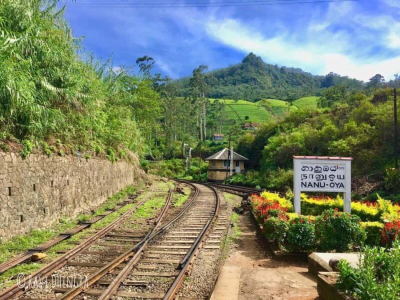 Ella: Curated Day Tour with Scenic Train Journey from Kandy - The Return Journey: Private Vehicle Comfort