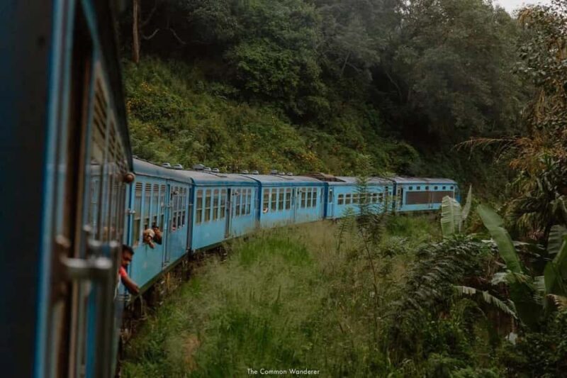 Ella: Curated Scenic Train Journey from Nanu Oya with Locals - Pricing and Value