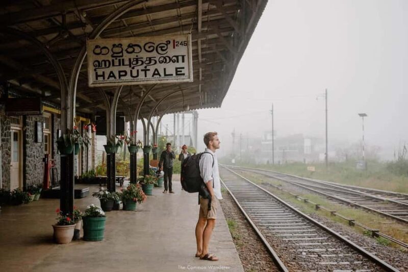 Ella: Curated Scenic Train Journey from Nanu Oya with Locals - The Sum Up