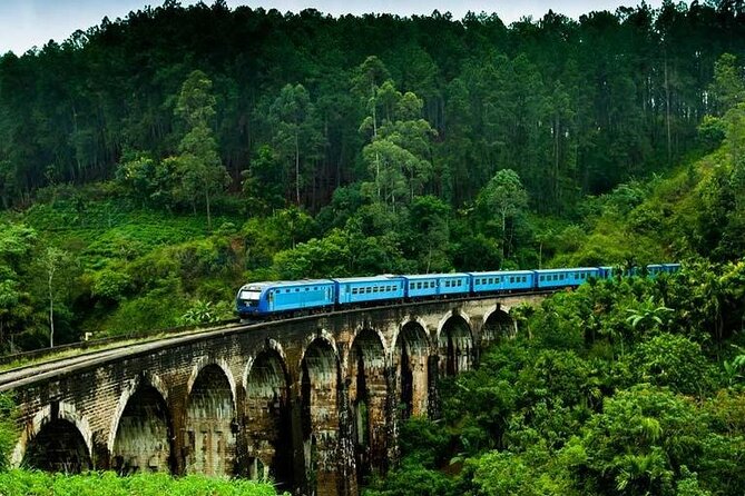 Ella Day Tour From Kandy - Inclusions and Exclusions