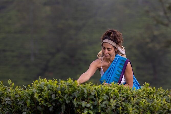 Ella Day Tour From Kandy - Frequently Asked Questions