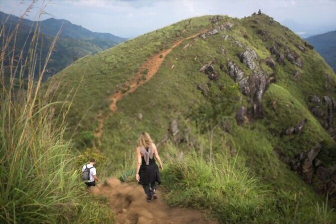 Ella Day Tour from Mirissa/Tangalle/Waligama - Who Should Consider This Tour?