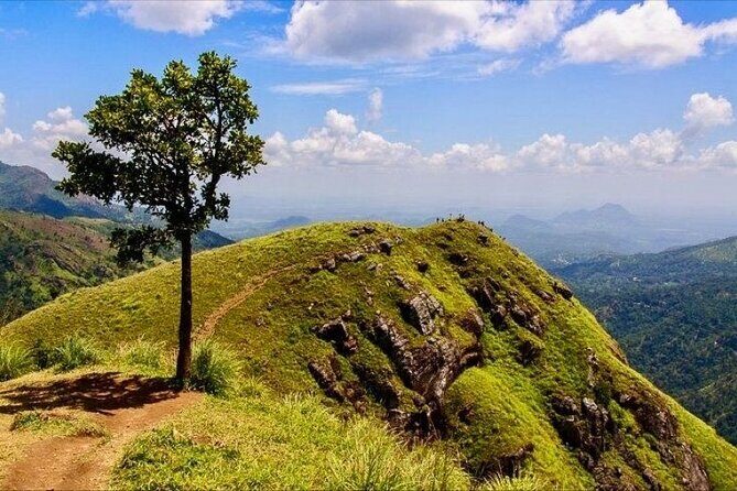 Ella Day Tour from Mirissa/Tangalle/Waligama - Authentic Insights from Past Travelers