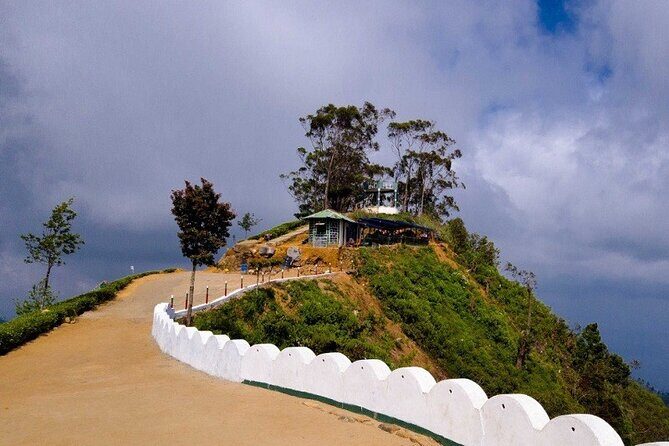 Ella Day Tour with Tea Factory All Inclusive Tour from Hambantota - FAQs