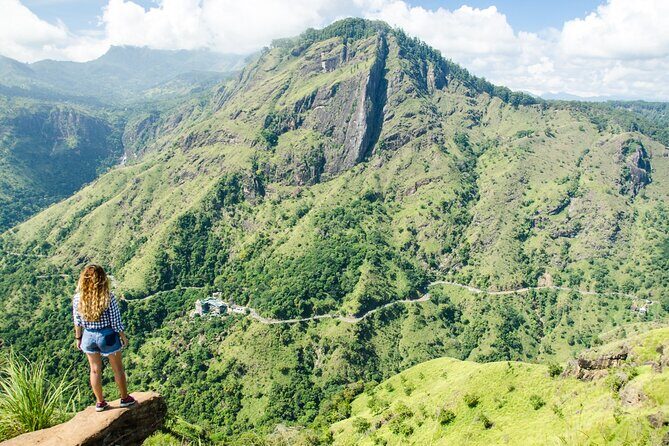 Ella Day Tour with Tea Factory visit from Bentota - Who Is This Tour Best For?