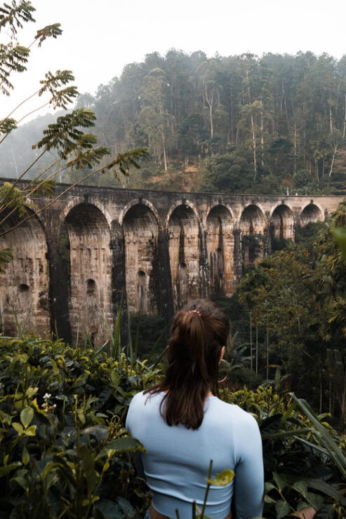 Ella Day Tour: With Tea Factory Visit From Colombo/ Negombo - Itinerary Highlights